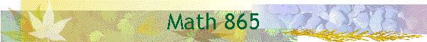 Math 865