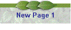 New Page 1