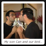 My son Can and our bird Cheakpea!
